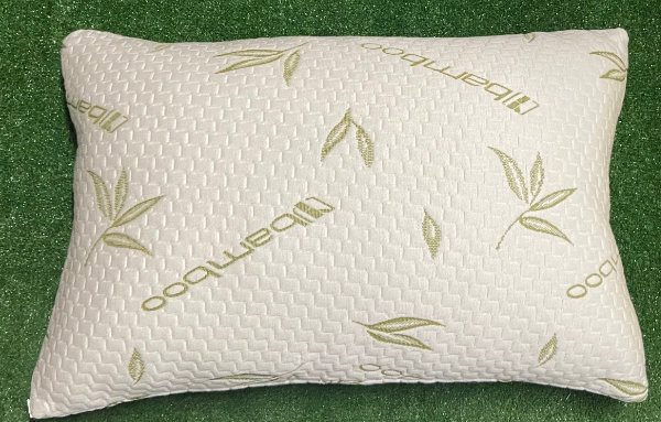 Queen size Bamboo Pillow